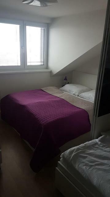 Apartmany Dolní Morava Exterior foto